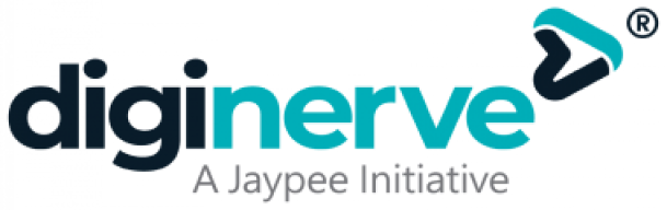 DigiNerve Logo